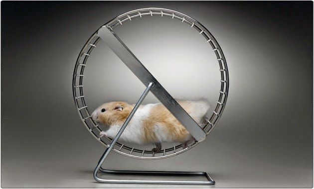 hamelin cuento relato relato corto microrrelato beitavg